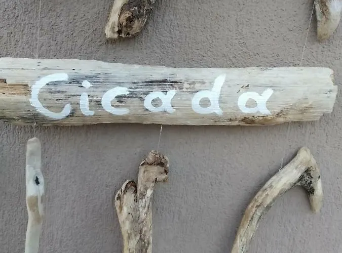度假居 Cicada 卡拉瓦杜斯