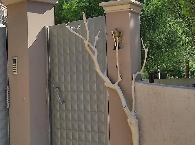 Cicada بيت للعطل *
